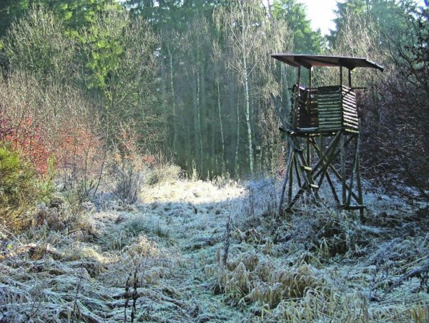 (Bild piexlio)