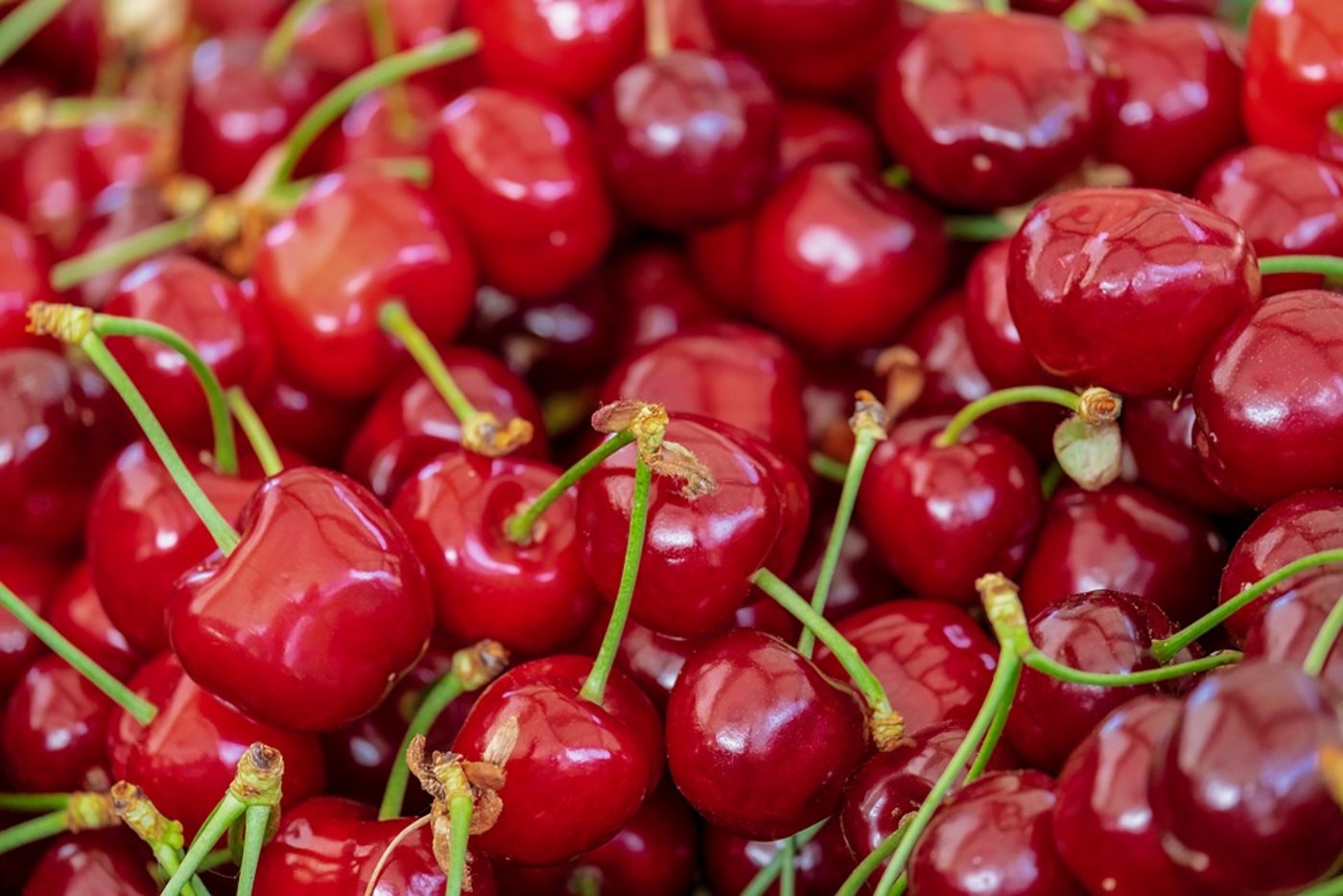  Sie  enthalten die Vitamine C, E und Folsäure sowie die Mineralstoffe Kalium, Kalzium, Magnesium, Phosphor, Eisen,  Kieselsäure und Pektin. (Bild Pixabay)
