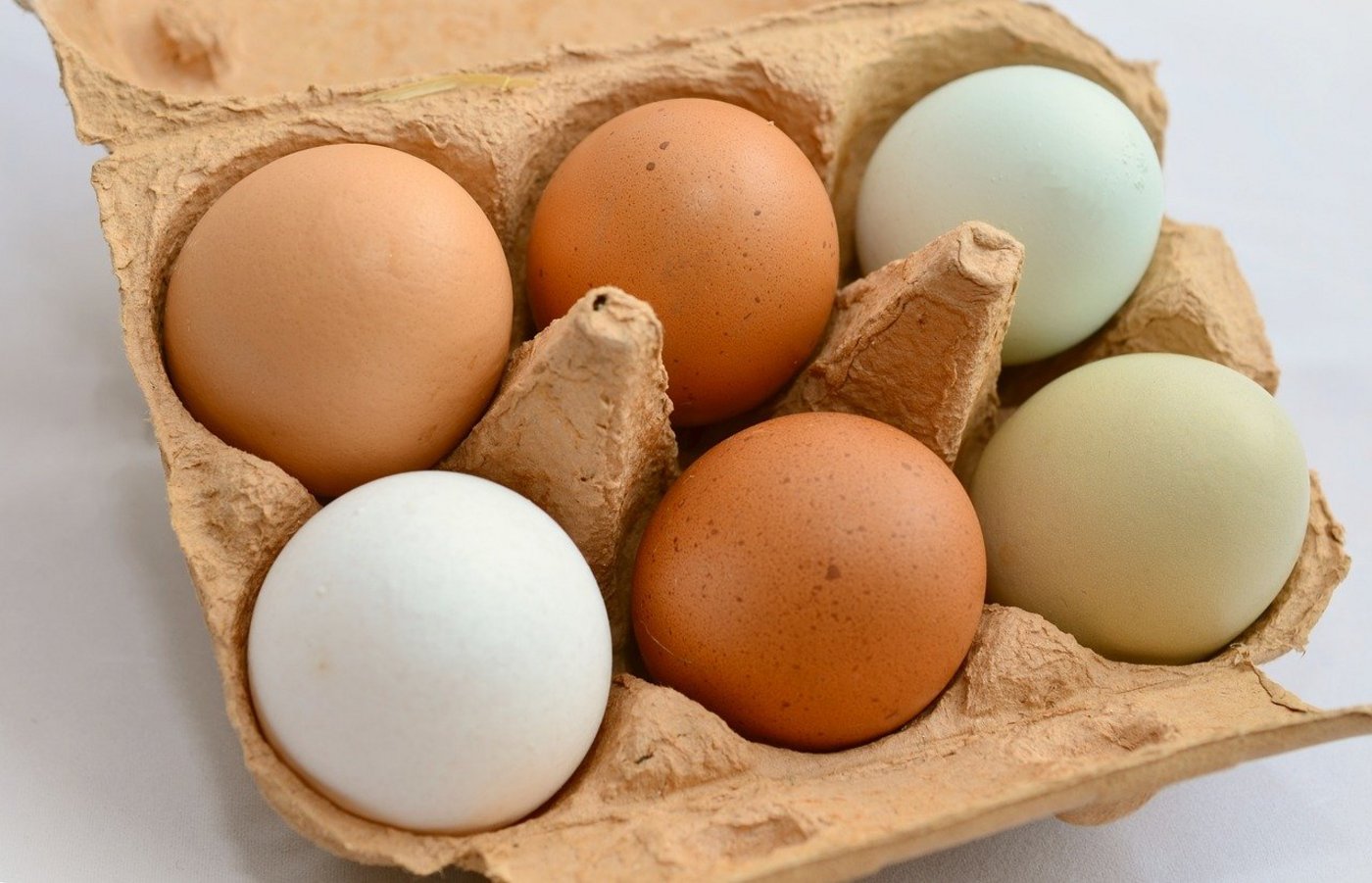 Während sich die Lage im Schweizer Eiermarkt immer mehr entspannt, herrscht im Ausland wegen der Vogelgrippe Unsicherheit bezüglich der Verfügbarkeit von Freiland- und Bio-Eiern. (Bild Pixabay)