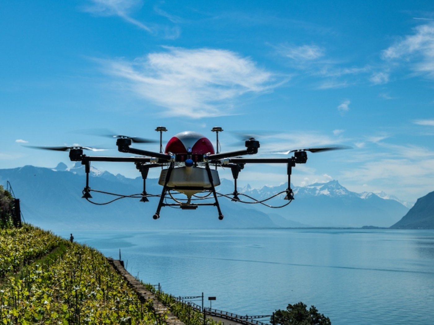 Mit Precision Farming soll der Einsatz von Pflanzenschutzmittel um bis zu ein Viertel gekürzt werden. Hier im Einsatz eine Drohne, sie stellt eine von sieben Massnahmen dar.  (Bild Agrofly)