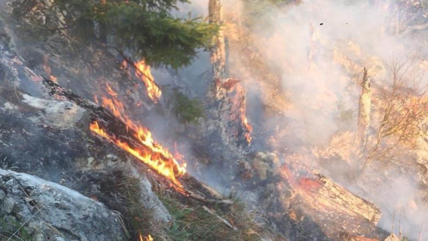 Die Feuerwehr brachte den Waldbrand in Amden SG bis um Mitternacht unter Kontrolle. (Bild St. Galler Kantonspolizei)