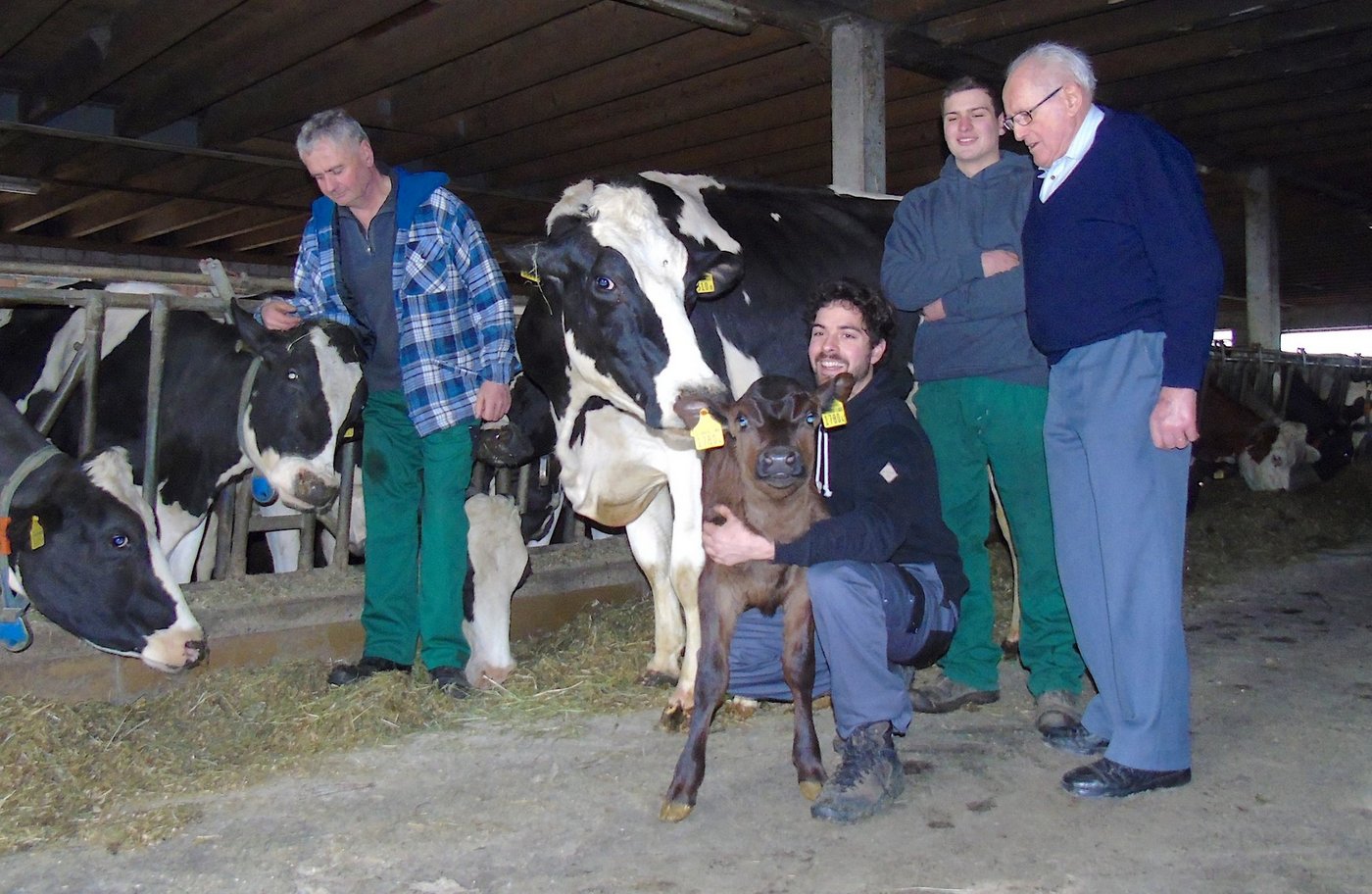 Drei Generationen der Familie Birrer: Franz Junior, Simon, Elias und Franz Birrer Senior mit ihren Tieren. (Bilder zVg)
