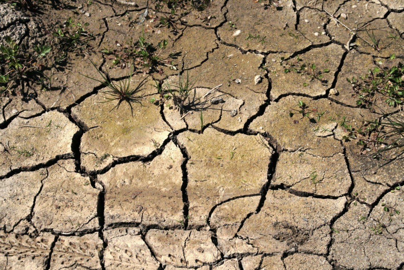 Wird weiterhin soviel Wasser verbraucht, muss am 12. April  gemäss der Behörde die Wasserversorgung eingestellt werden. (Bild pixhere)