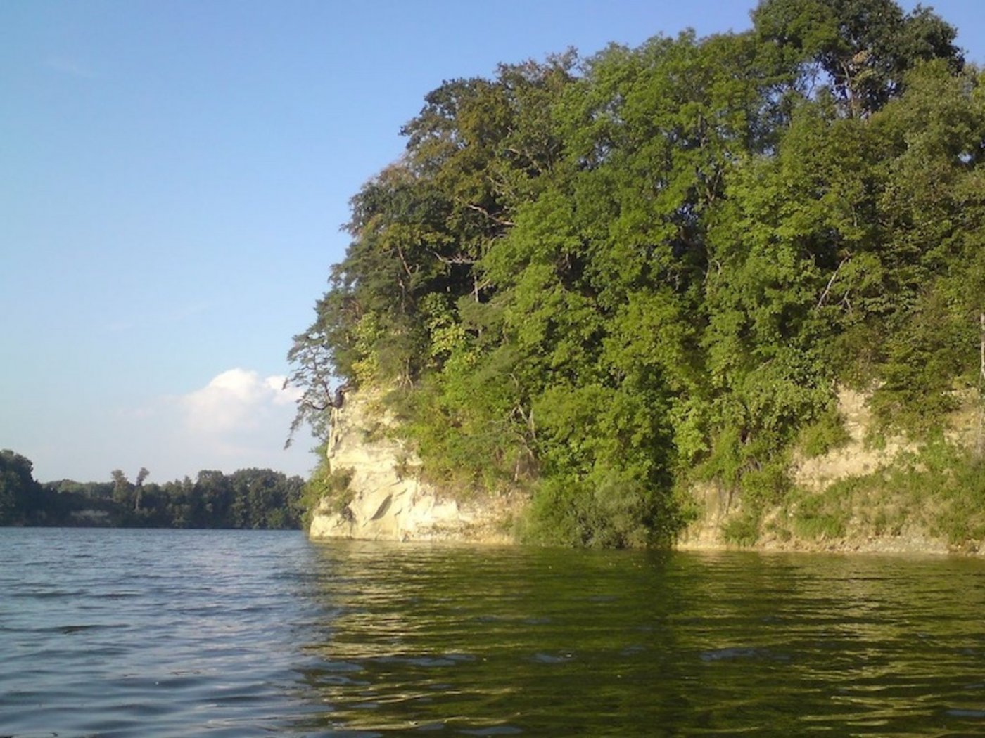 Die Algenblüte im Schiffenen-See machte den Fischen das Atmen schwer. (Bild schiffenensee.ch)