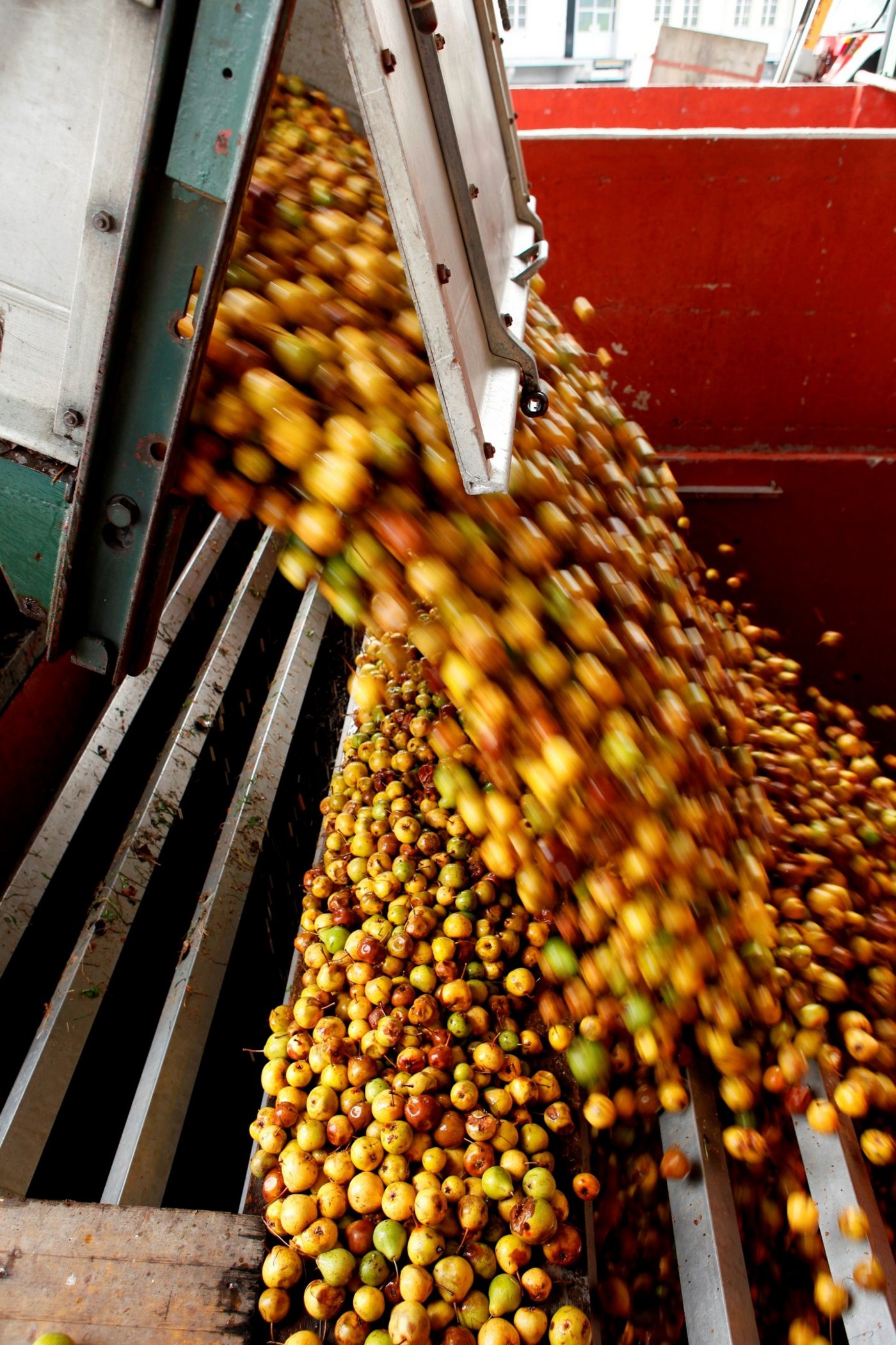 Wegen des Frosts im Frühjahr erwartet der Schweizer Obstverband eine tiefe Mostobsternte. (Bild zVg Ramseier Suisse)