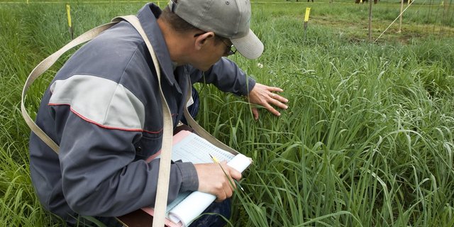 Ein schweizweites Netzwerk von Forschern soll entstehen. (Bild Agroscope)