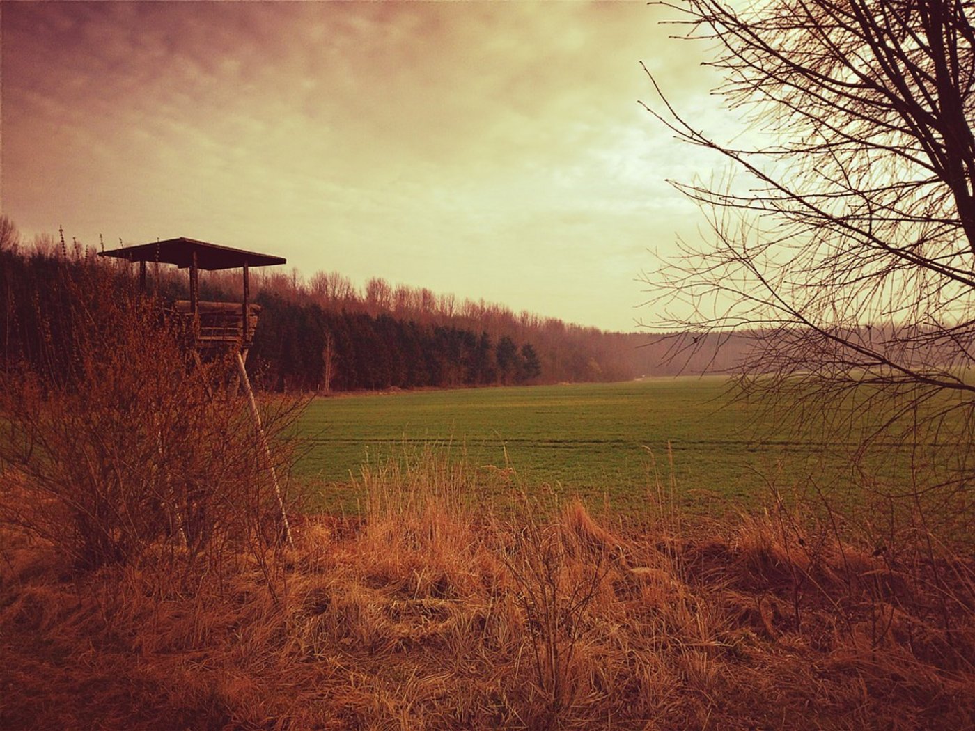 Ein Hochsitz. (Bild Pixabay)