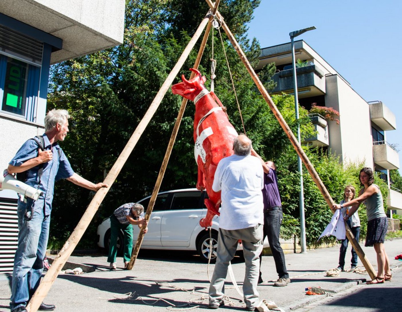Rudi Berli (ganz links) hängt mit seinen Mitstreiterinnen und Mistreitern die Plastikkuh Faironika auf. Insgesamt haben sich ein knappes Dutzend Bauern an der Aktion beteiligt. (Bild hja)