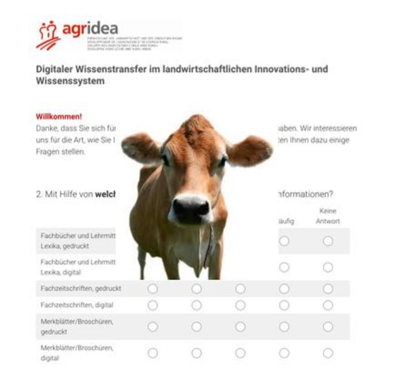 Die Umfrage ist schnell erledigt – es sind 10 Fragen online zu beantworten. (Fotomontage Jil Schuller)