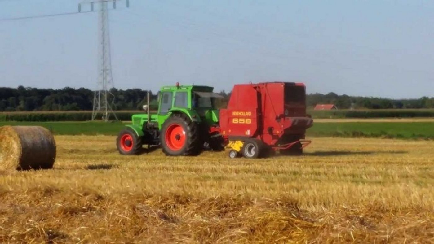 In Norddeutschland gibt es dieses Jahr wegen der Trockenheit eine sehr schlechte Getreideernte. (Bild zVg)
