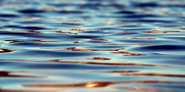 Dass in der neuen Verordnung verschiedene Gewässer unterschiedlich geregelt werden, stösst bei Pro Natura auf Kritik. (Bild Pixabay)