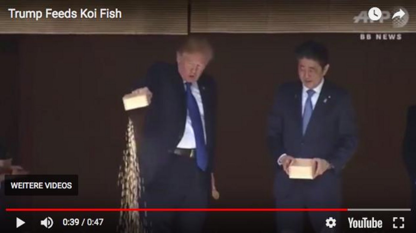 Karpfen füttern muss beim Donald Trump schnell gehen. (Bild Screenshot Philip Barker/Youtube)