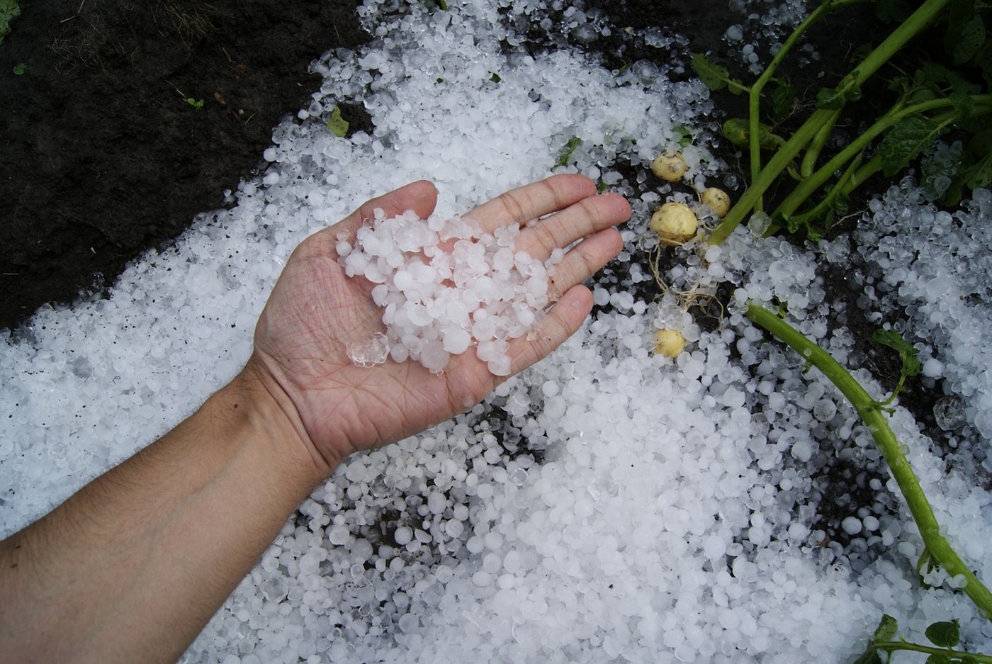 Letzten Freitag verursachte Hagel in den Kantonen Genf und Waadt enorme Schäden. (Symbolbild Pixabay)
