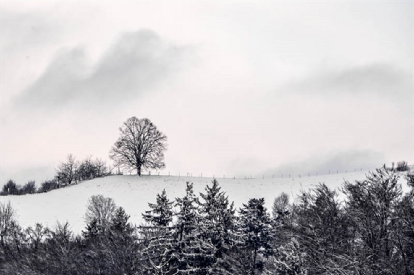 Der Schnee dürfte mindestens in tieferen Lagen schon bald wieder weg sein: Gegen Silvester wirds mild. (Bild BauZ)