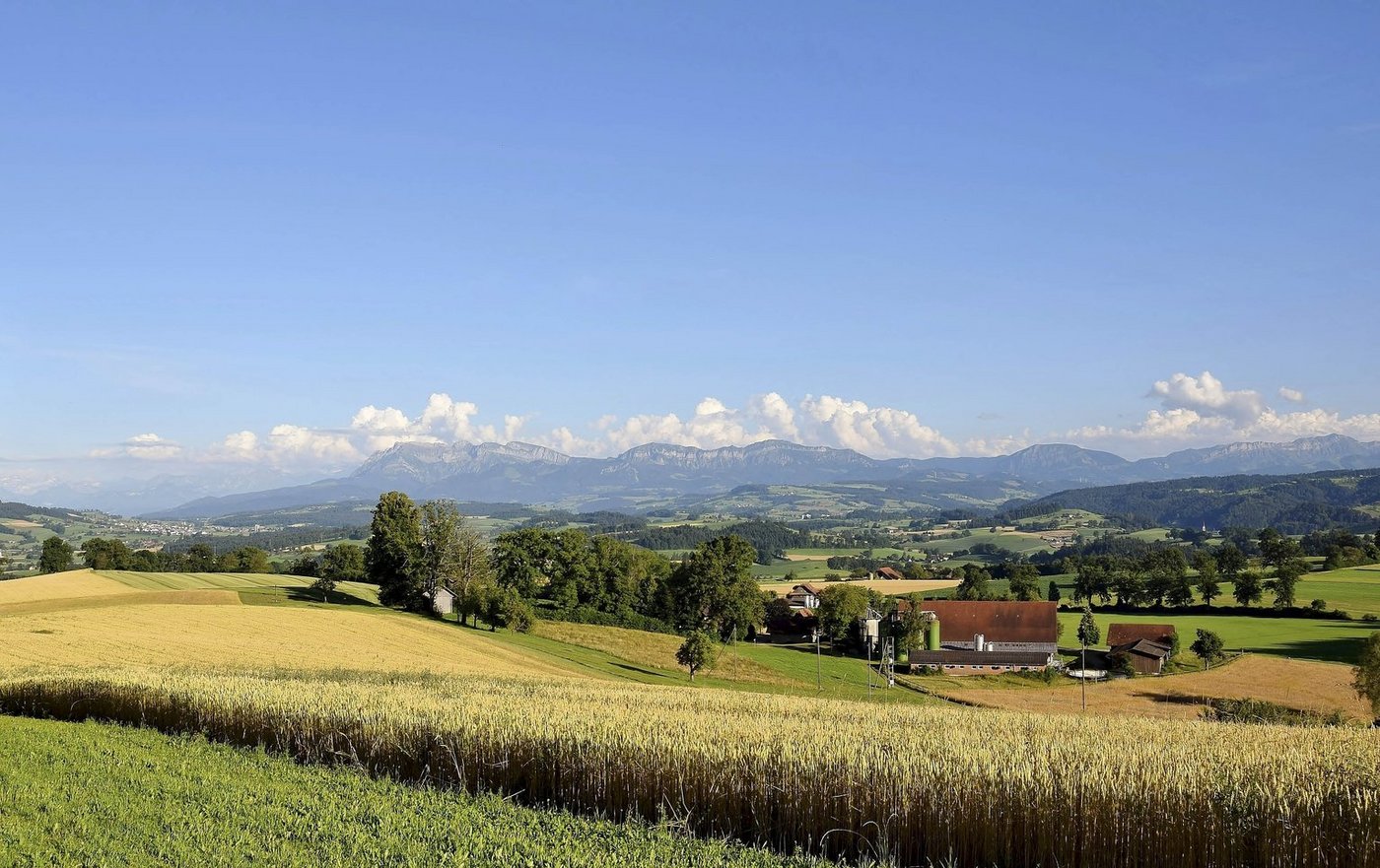 Yves Stern geht davon aus, dass die Nachfrage nach individuellen Angeboten steigen wird. Dazu gehören jene auf Bauernhöfen. (Bild Hedy Muff-Ruckli/landwirtschaft.ch)
