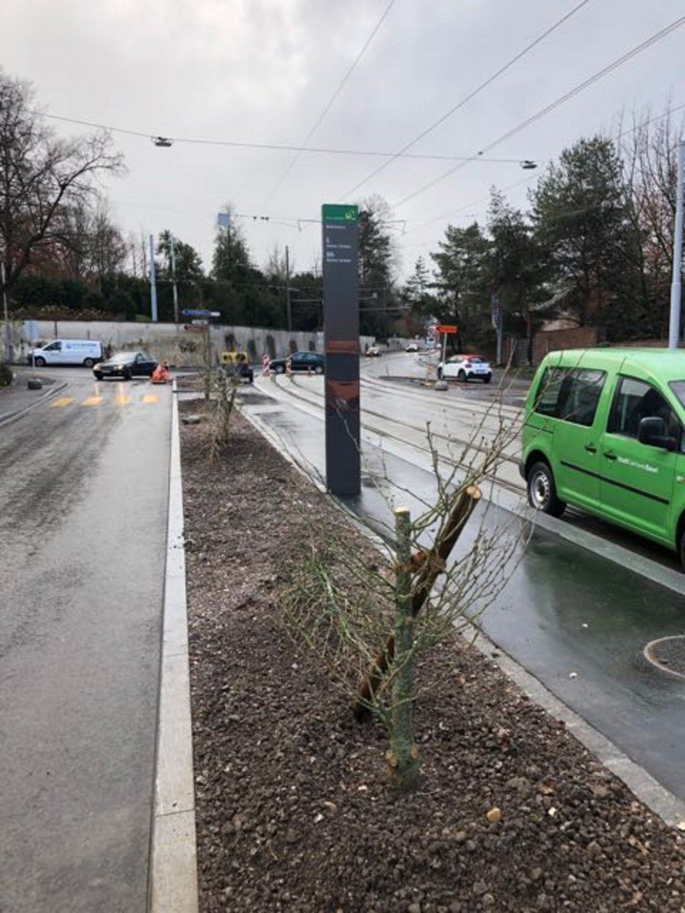 Weil es sich bei der betroffenen Strasse um eine Kantonsstrasse handelt, ist die Stadtgärtnerei für die Bepflanzung zuständig. 