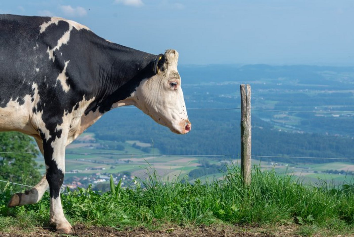 Eine längere Nutzungsdauer soll nicht nur klimafreundlicher, sondern auch ökonomisch sinnvoll sein. (Bild hja)