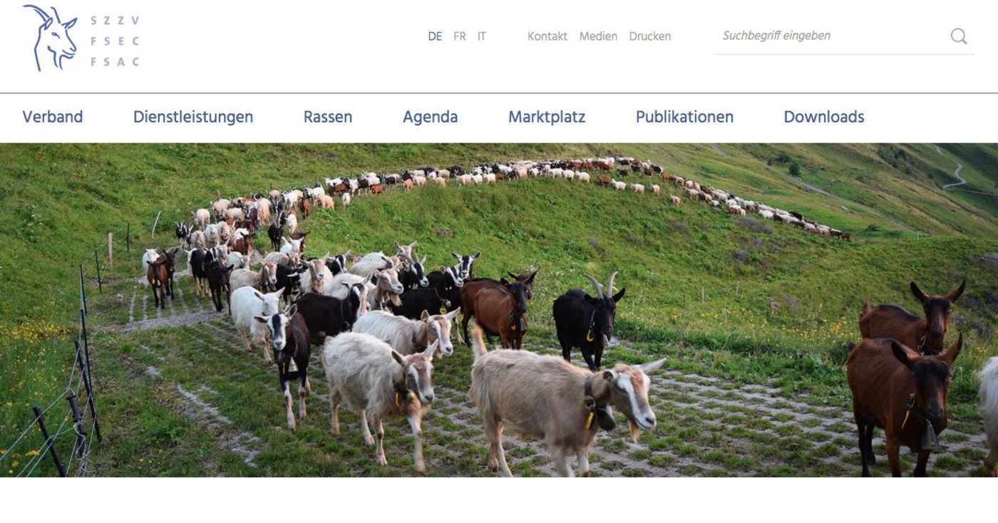 (Screenshot szzv.ch)