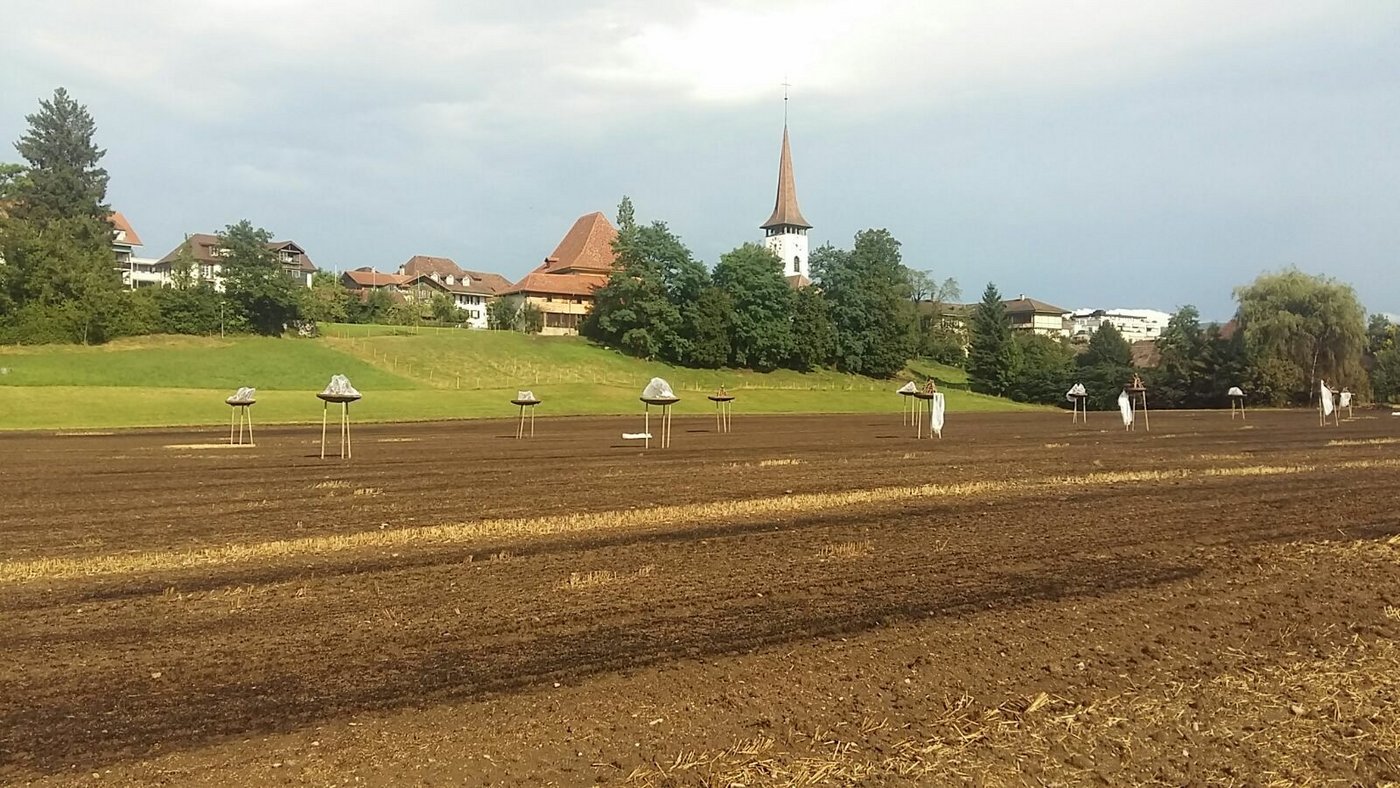 Feld mit Feuerschalen mit Holz. Zugedeckt mit Plastik.  Vermutlich für eine 1. August-Feier.