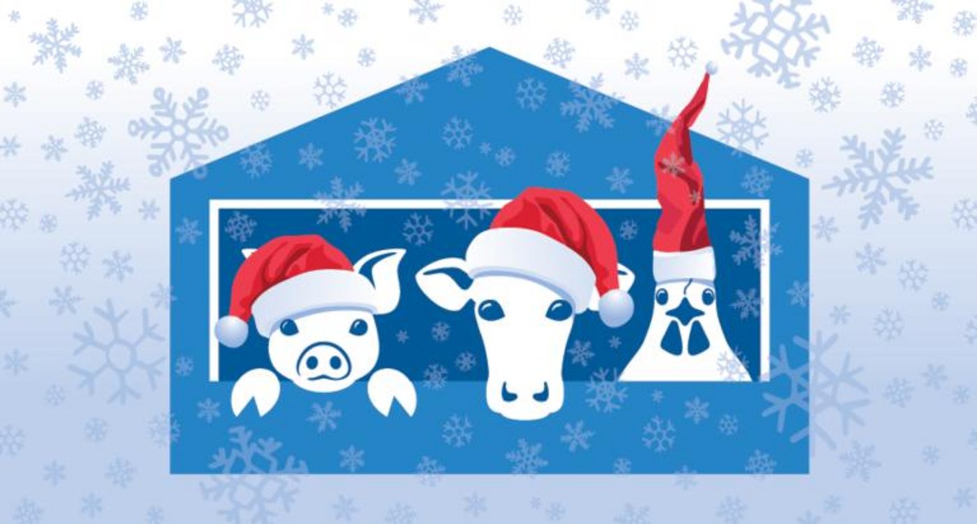 Frieren Tiere im Winter? Das Projekt Stallvisite hilft, Interessierte mit Fachleuten in der Landwirtschaft zusammenzubringen, um ihre Fragen zu klären. (Bild lid)