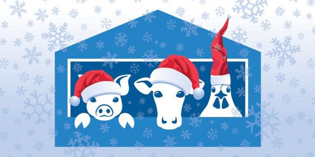 Frieren Tiere im Winter? Das Projekt Stallvisite hilft, Interessierte mit Fachleuten in der Landwirtschaft zusammenzubringen, um ihre Fragen zu klären. (Bild lid)