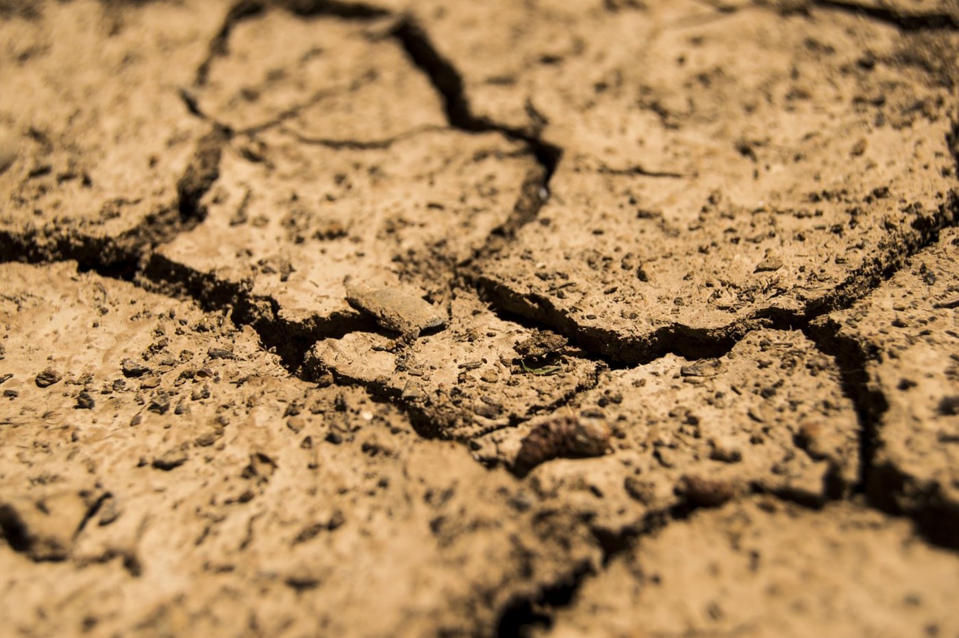 Die von der Trockenheit geplagten Bauern sollen staatliche Gelder erhalten. (Symbolbild Pixabay)