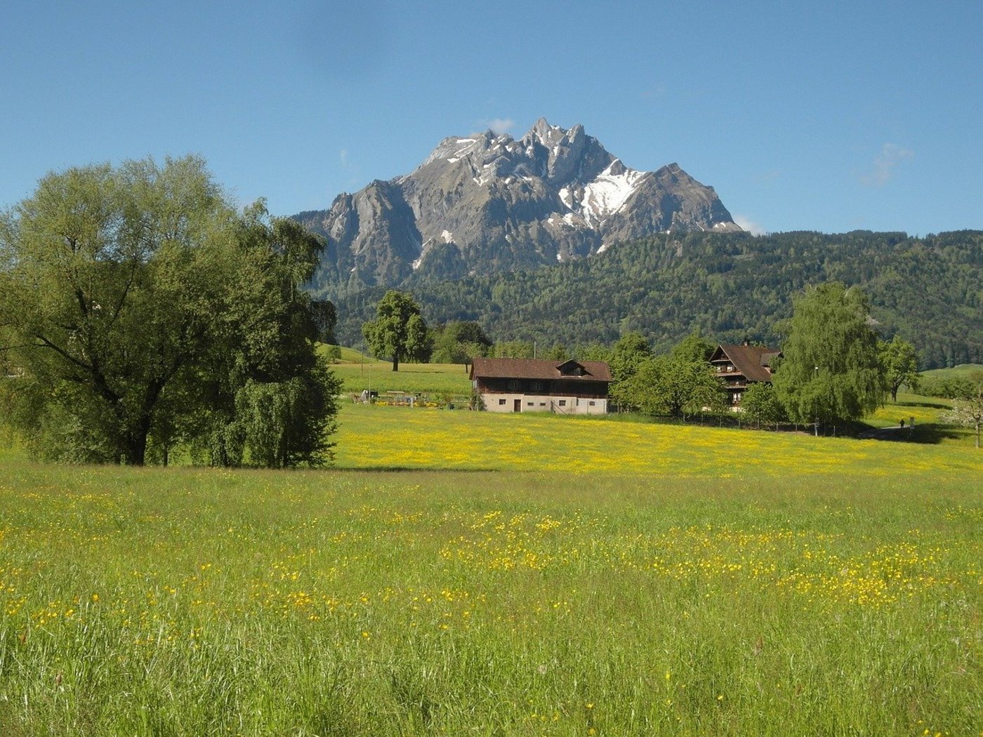 Der Regierungsrat des Kantons Luzern ist der Meinung, dass die Massnahmen zur Erreichung der Reduktionsziele ausreichen. (Bild Pixabay)