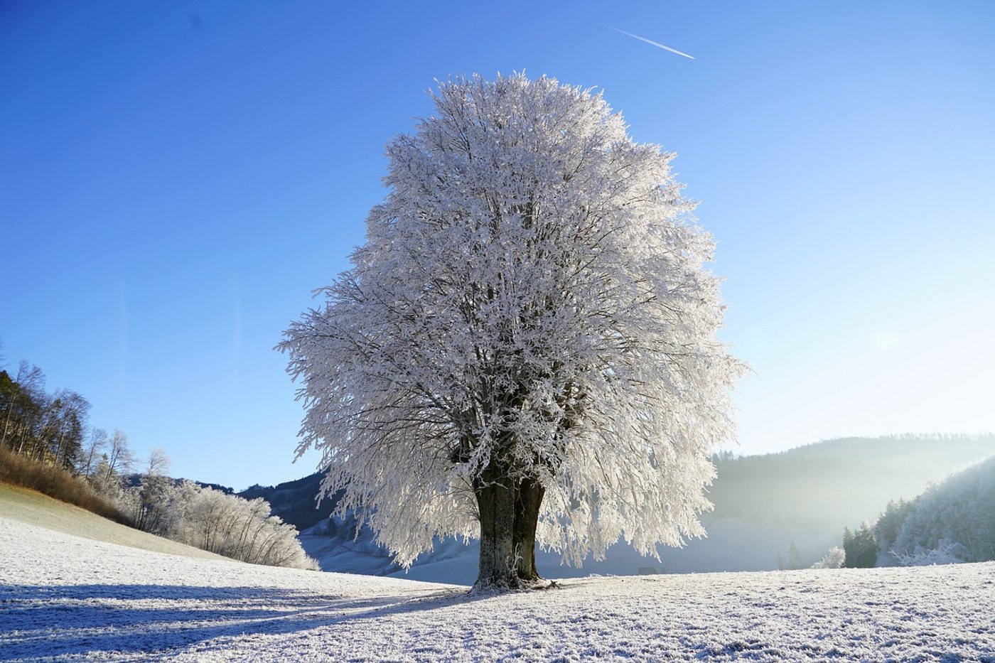 Der Dezember 2017 brachte viel Neuschnee. (Symbolbild Pixabay)