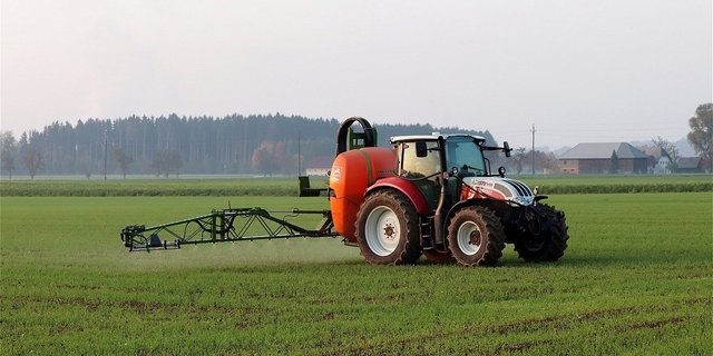 Erst im Hauptentscheid werde zu beurteilen sein, von welcher Einstufung von Chlorothalonil hinsichtlich Kanzerogenität auszugehen ist und ob mit einer allfälligen Einteilung in die Kategorie 1B automatisch alle Metaboliten als relevant gelten. (Bild Pixabay)