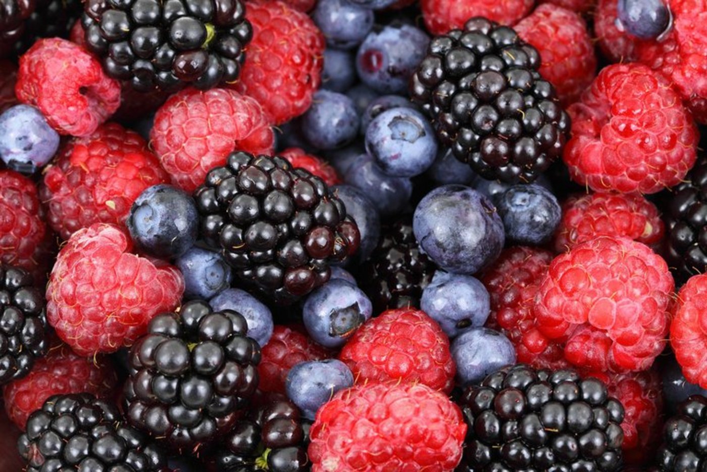 Schätzungen zu Folge muss bei den Erdbeeren mit Ernteeinbussen von ca. 30 Prozent gegenüber dem Vorjahr gerechnet werden. (Bild pd)