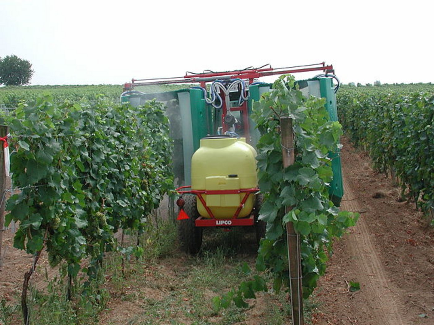 Tunnelsprizgeräte bringen im Weinbau Pflanzenschutzmittel an. (Bild Karl Bauer - Eigenes Werk (Originaltext: eigenes Foto), CC BY 3.0 at, https://commons.wikimedia.org/w/index.php?curid=18628371)