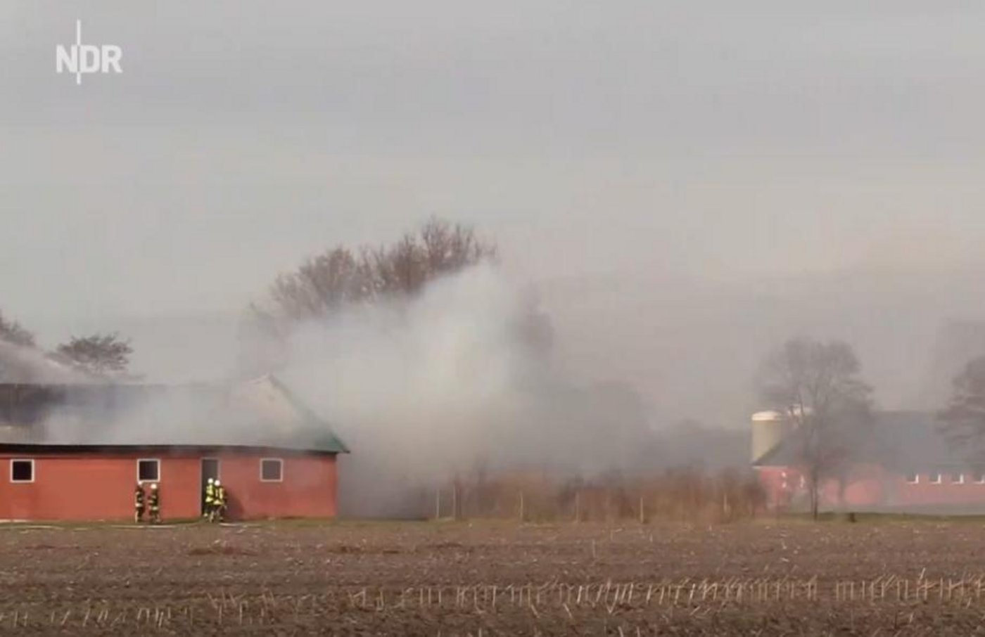 Die Feuerwehr versuchte noch die Tiere zu retten. (Screenshot NDR)