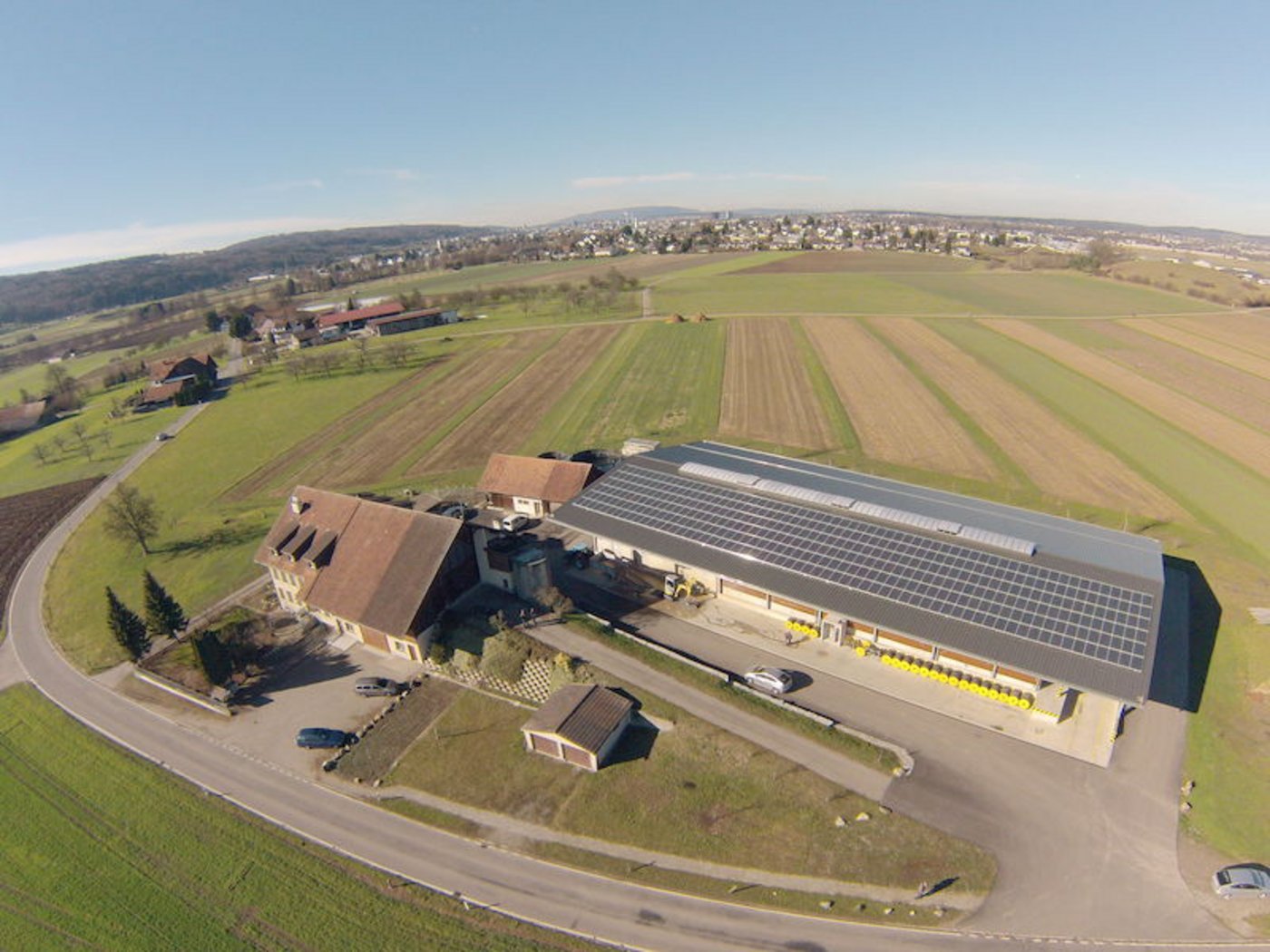 Bei "Beerstecher Gemüsekulturen" in Dübendorf ZH können Interessierte Gemüse selber ernten. 