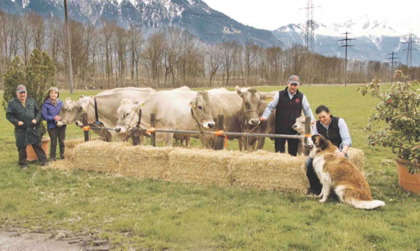 Ernst und Irene Guntli (links) posieren neben Stammkuh Carla. Ihr Sohn Andreas und seine Partnerin Ariane sind rechts auf dem Bild zu sehen. Alle sind sie  stolz auf Carla und ihre Nachkommen aus fünf Generationen. (Bild Heidy Beyeler)