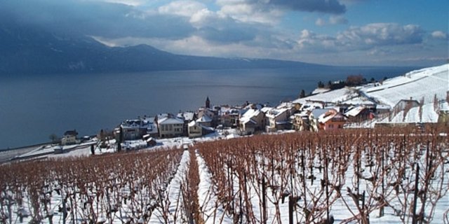 Zwei Standesinitiativen der Kantone Genf und Wallis forderten, dass die Wein-Kontingente angepasst werden. (Bild Marcha)