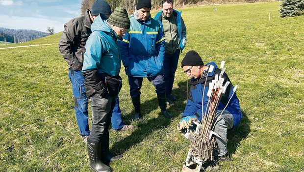 Norbert Ricklin (r.) hat das Mäuserknecht-Set erfunden und zeigt  es Kursteilnehmern sowie Rafael Gago und Daniel Nyfeler.