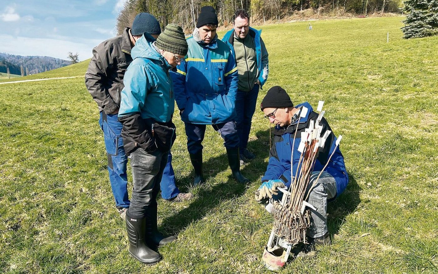 Norbert Ricklin (r.) hat das Mäuserknecht-Set erfunden und zeigt  es Kursteilnehmern sowie Rafael Gago und Daniel Nyfeler.