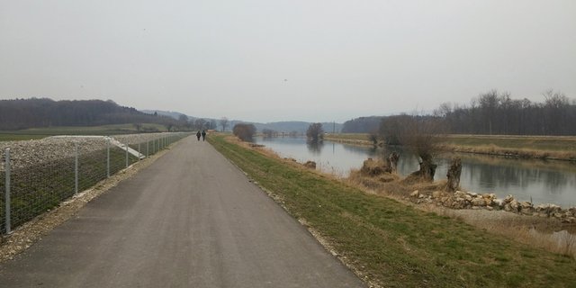 Der Hagneckkanal wurde während der 1. Juragewässerkorrektion erbaut und leitet die Aare in den Bielersee. Dadurch konnte bisher nicht nutzbares Land bewirtschaftet werden. (Bild ji)