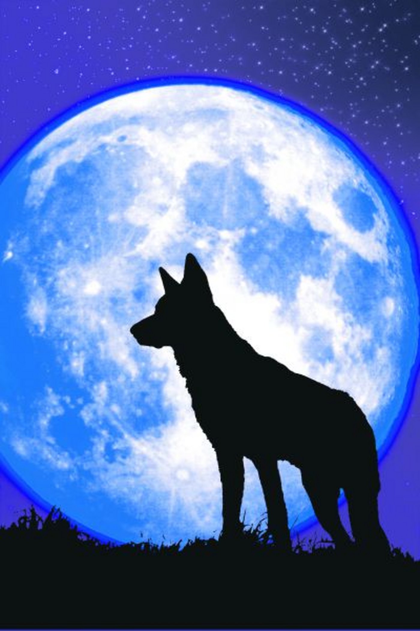 Der Wolf kommt. Und mit ihm Bilder von am lebendigen Leib angefressenen Tieren. (Bild pixelio)
