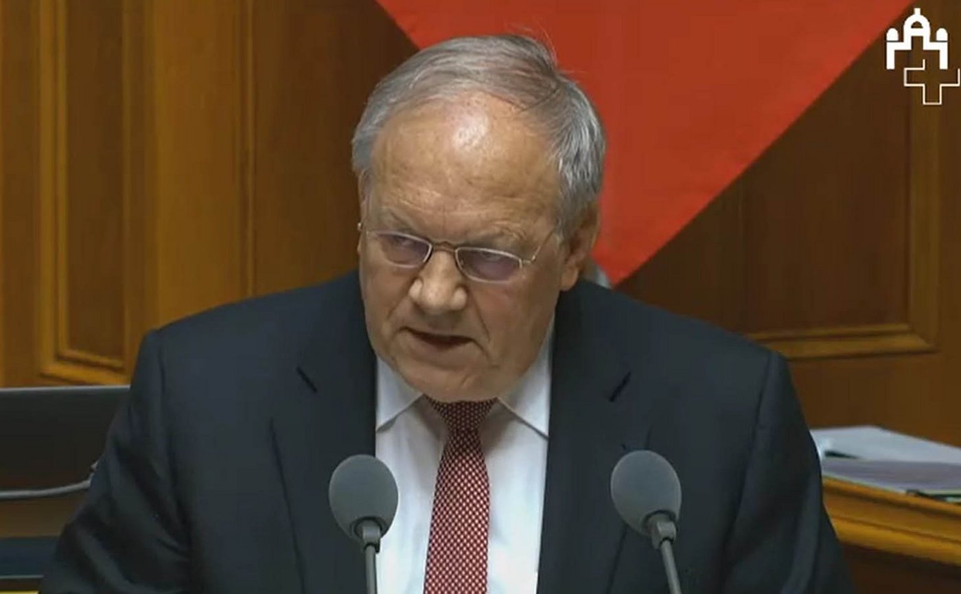 Bundesrat Schneider-Ammann bei seiner Ansprache im Nationalrat. (Screenshot Video parlament.ch)