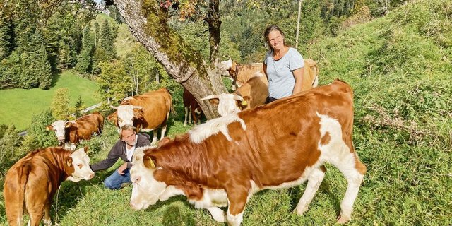 Jörg und Tamara Stoller vom Biohof Grossegg mit ihren stämmigen Hinterwälderkühen. Sämtliche Produkte vom Betrieb werden direktvermarktet. Die Nähe zum Ballungsgrossraum Zürich und Winterthur macht es möglich. 