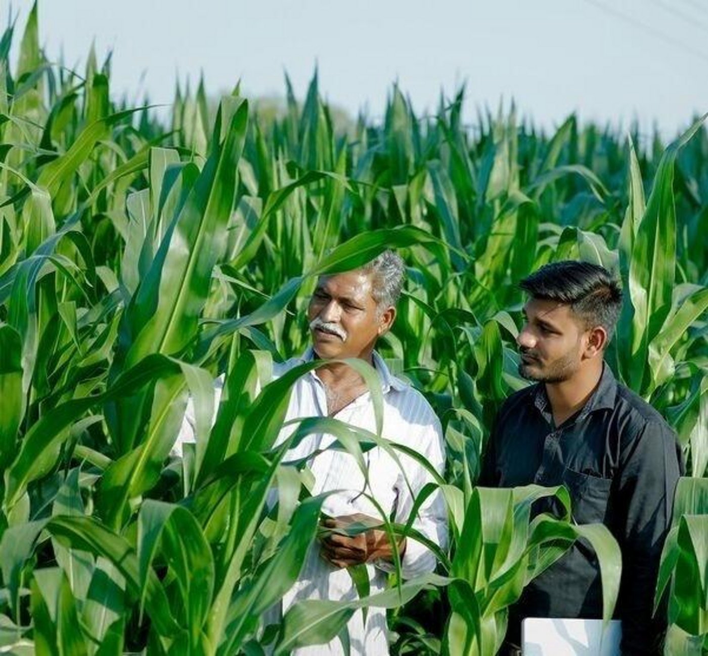 Syngenta übernimmt Verantwortung durch Ausbildung von Bauern in der ganzen Welt / Weiterer Text über ots und www.presseportal.ch/de/nr/100080951 / Die Verwendung dieses Bildes ist für redaktionelle Zwecke honorarfrei. Veröffentlichung bitte unter Quellenangabe: (Bild Syngenta AG)