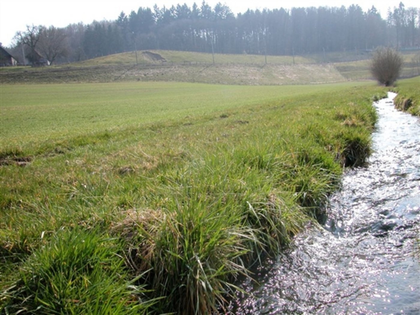 Das Puff um die Pufferstreifen geht weiter: Die zuständige Ständeratskommission UREK-S der Auffassung, dass am Gesetz grundsätzlich keine Korrekturen nötig sind. (Bild: BauZ)