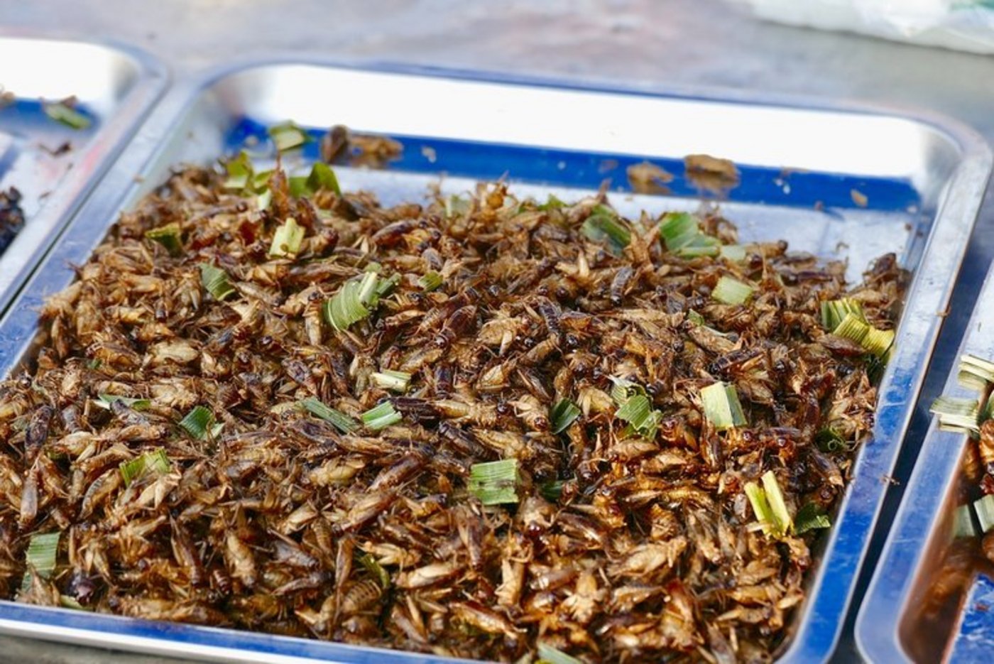 Bisher waren Insekten für die menschliche Nahrung eher unbeliebt. Vielleicht sind sie allerdings bald wichtig für die Fleischproduktion. (pixabay)