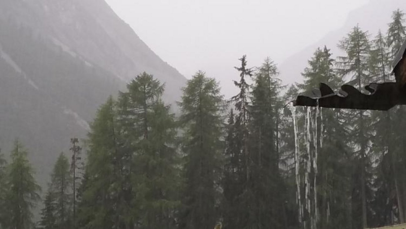 Eindrücke von der Alp Laisch. (Bild zVg)