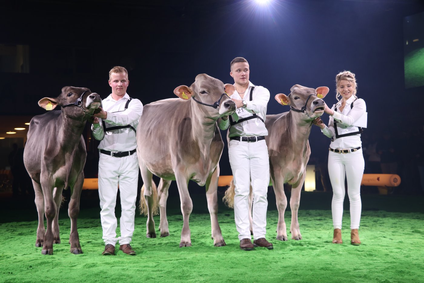 Showmanship: v.l.n.r. Sieger Bernhard Buholzer, Rang zwei für Fabian Betschart, Rang drei für Selina Felder. (Bild Ruth Aerni)