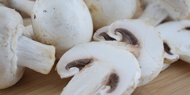 Der Champignons-Markt ist in der Schweiz leicht wachsend, wobei vermehrt Bioware nachgefragt wird. (Bild Pixabay)