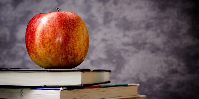 Die Eu spricht 145 Millionen Euro für den Bereich Obst und Gemüse. (Bild pixabay)