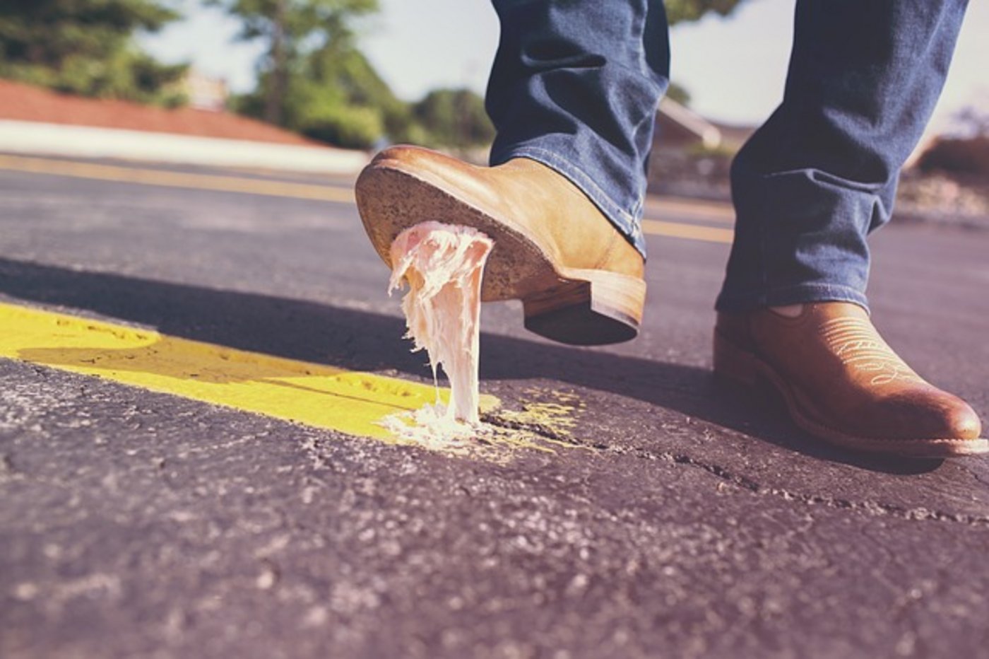 Laut der Umfrage fühlen sich rund 70% der Befragten immer noch «eher stark» bis «stark» von Littering gestört. (Bild pixabay)