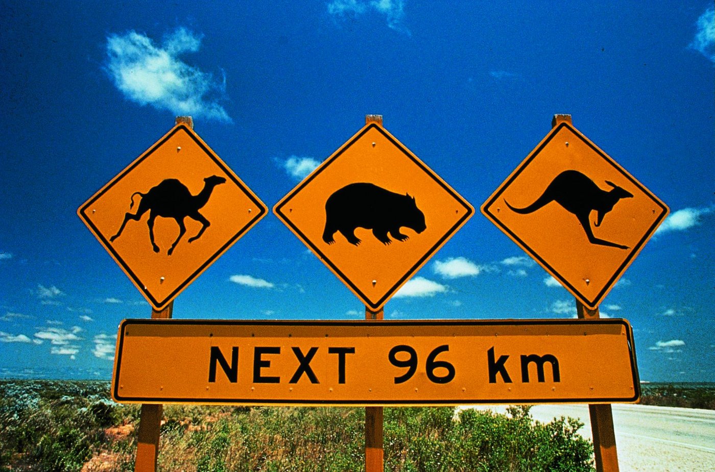 Australien weckt mit den Weiten des Outbacks, den pulsierenden Metropolen und paradiesischen Küsten seit jeher Fernweh. (Bild zVg)